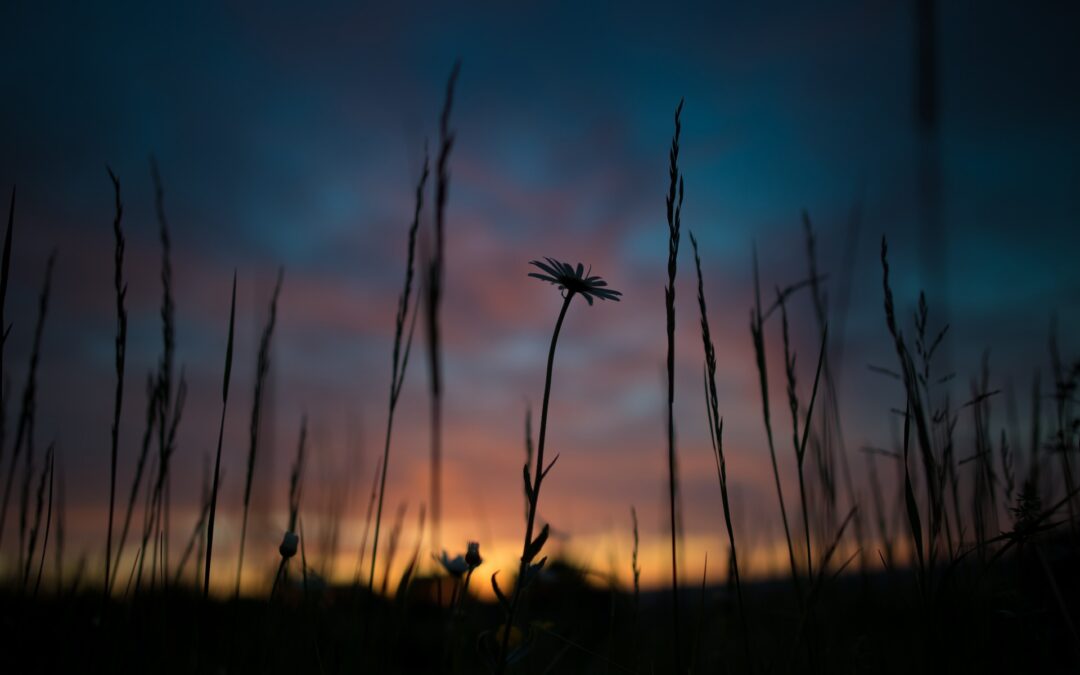 „Echte Glücksmomente … selbst in Zeiten der Trauer“