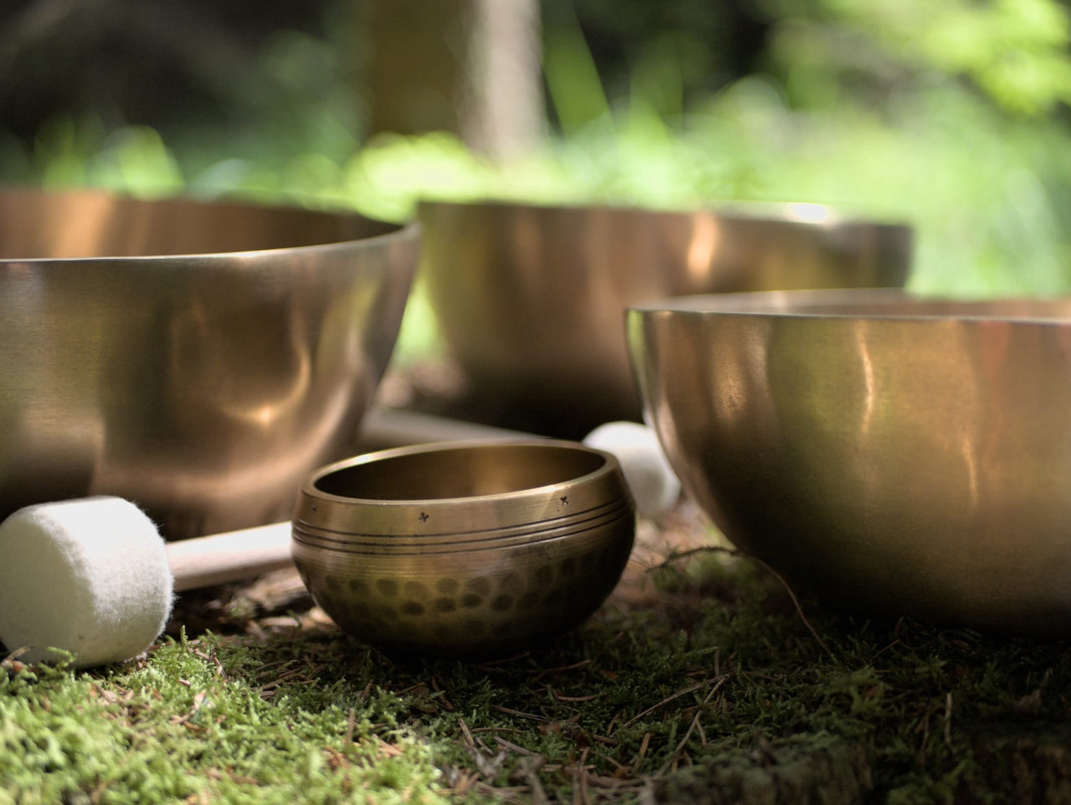 Klangschalen im Wald